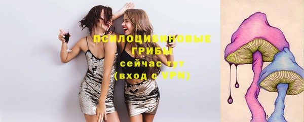 mix Алексеевка