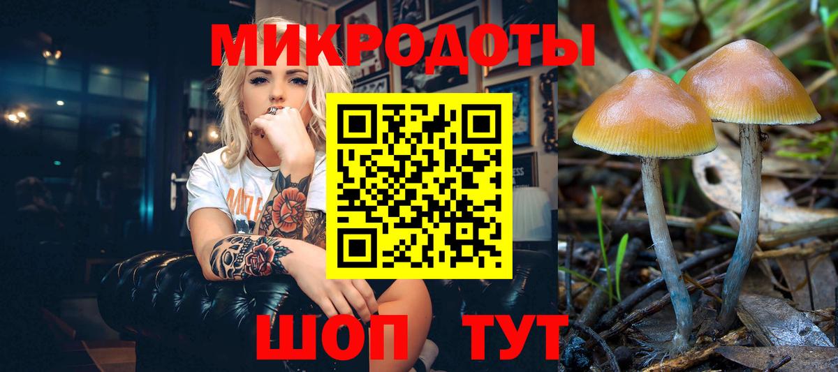 Галлюциногенные грибы MAGIC MUSHROOMS Волгоград