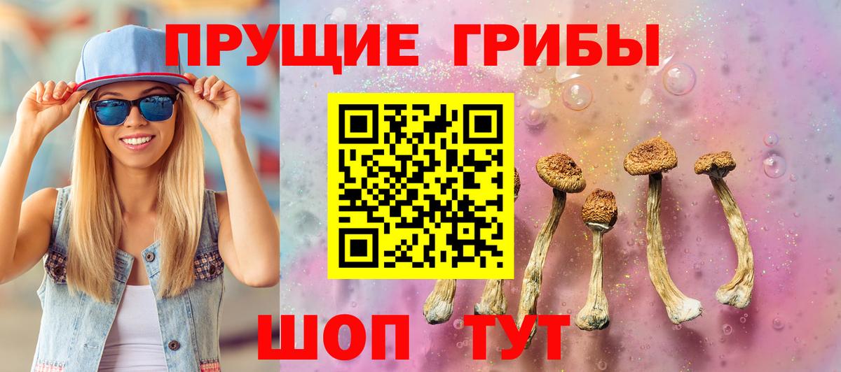 купить  цена  Галлюциногенные грибы GOLDEN TEACHER  Вход с VPN  Волгоград 